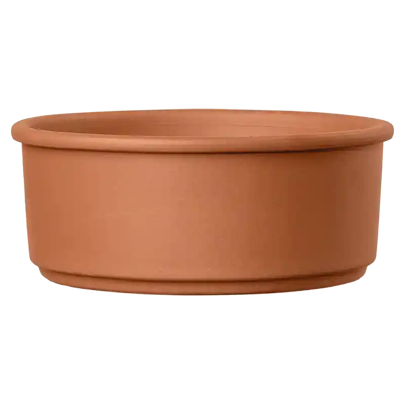 Schale Beverino-022982