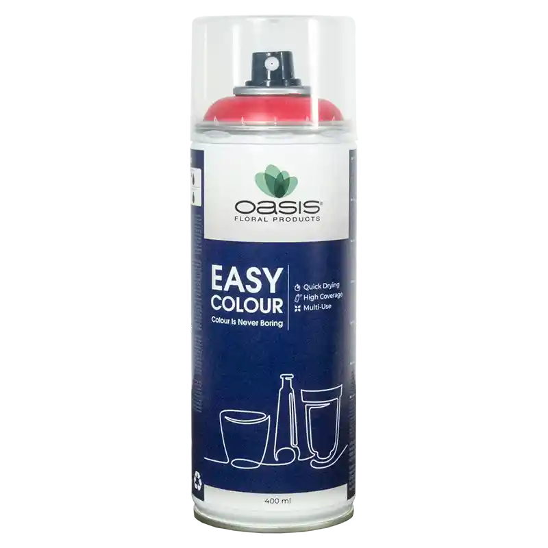 OASIS®Spray Easy Color