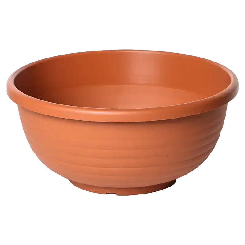 Schale Campana-031566