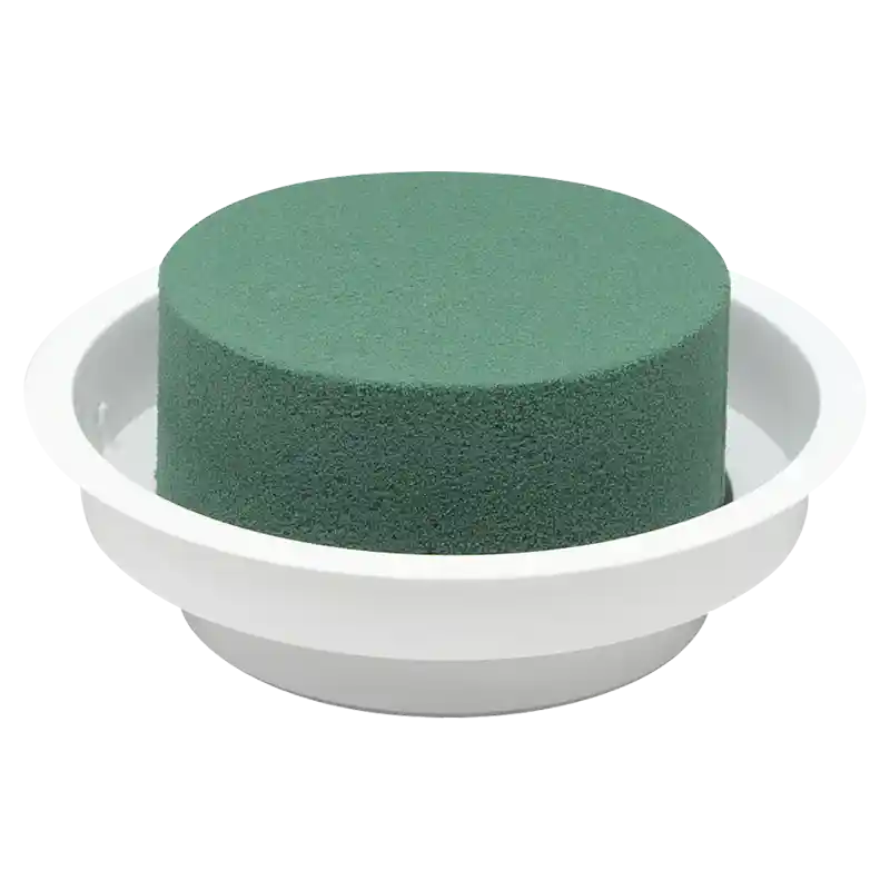 OASIS®Junior Schale