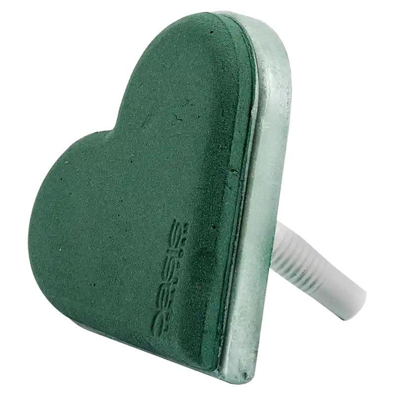 OASIS®ECObase Lady Herz