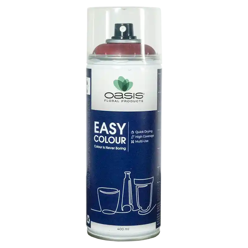 OASIS®Spray Easy Color