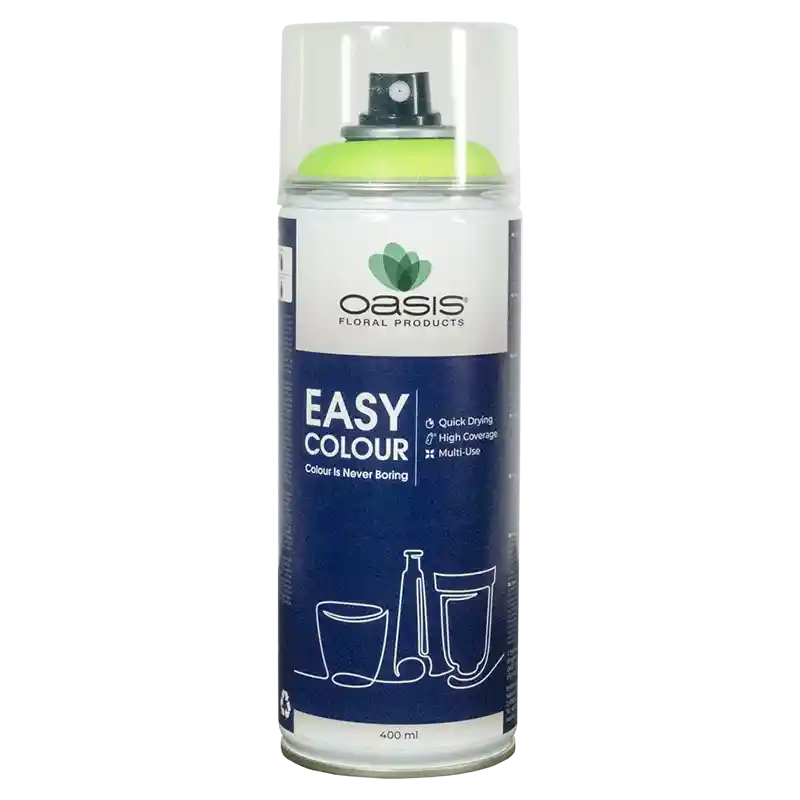 OASIS®Spray Easy Color