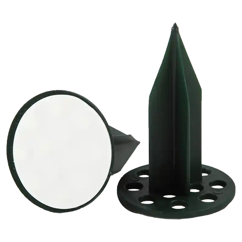 OASIS®Pini Super Extra