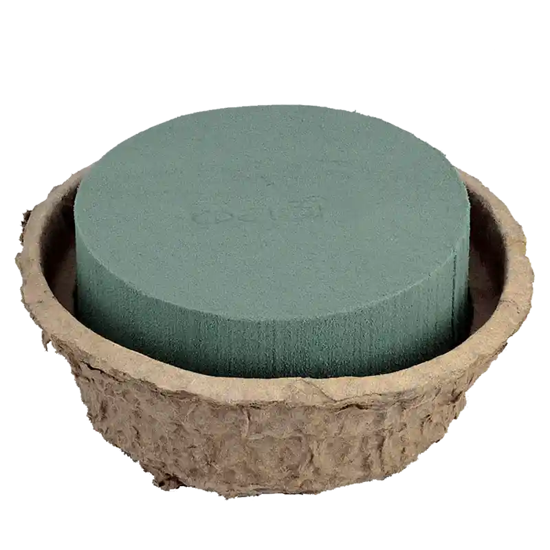 OASIS® BIOLIT® Schale-092227