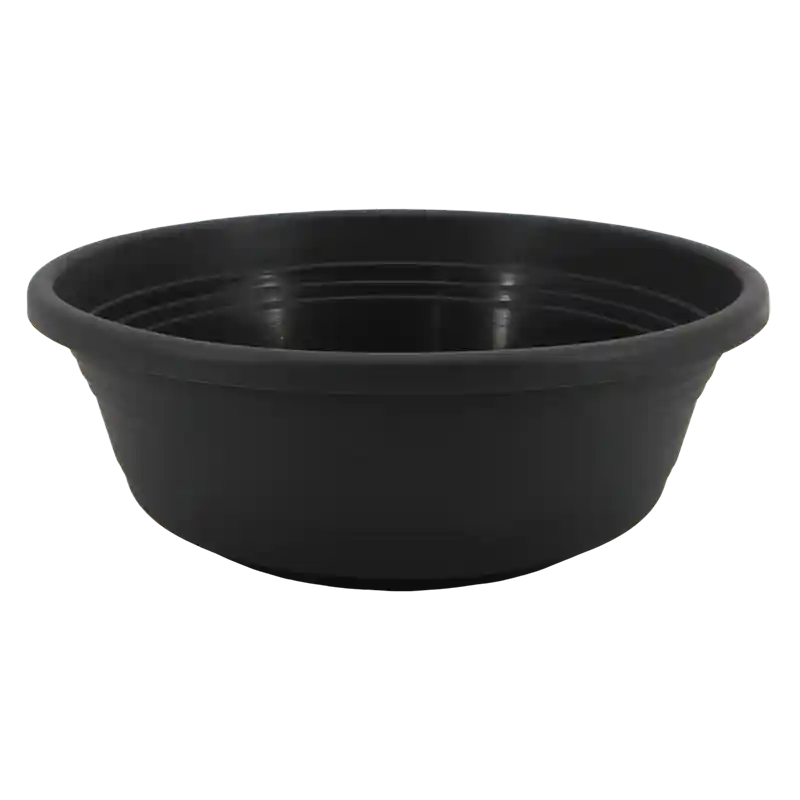 Schale Jessica-139727