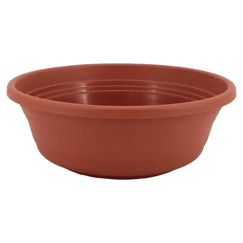 Schale Jessica-139941