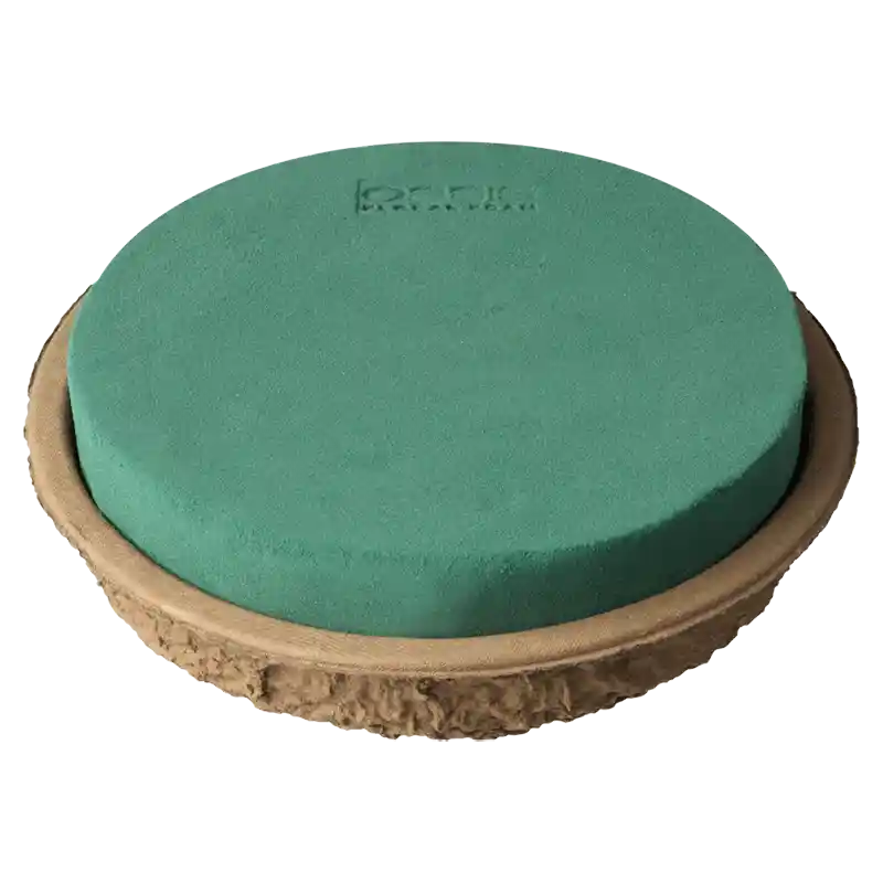 OASIS® BIOLIT® Platte-158132