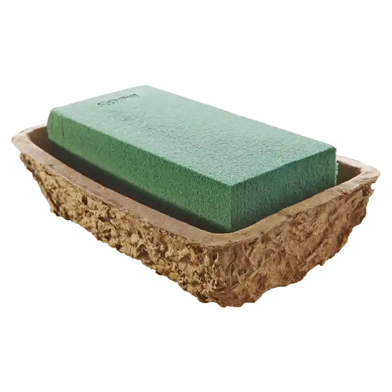 OASIS® BIOLIT® Schale Neo