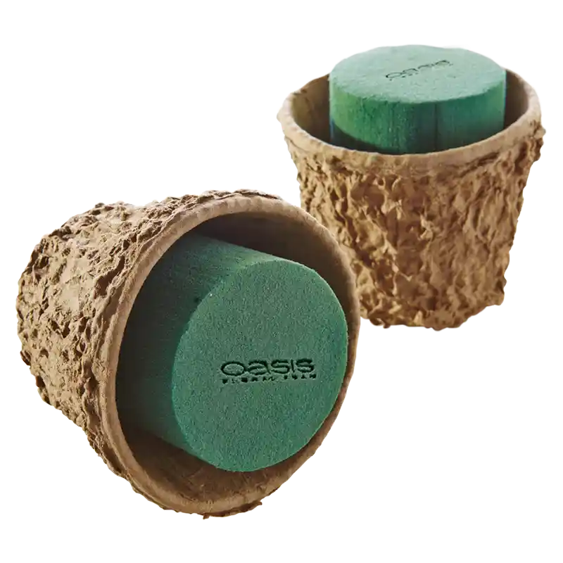 OASIS® BIOLIT® Schale Viva