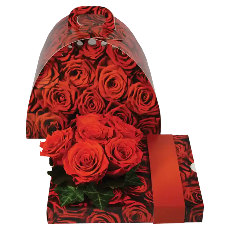 OASIS®Floxi Geschenkverpackung "Rosen"