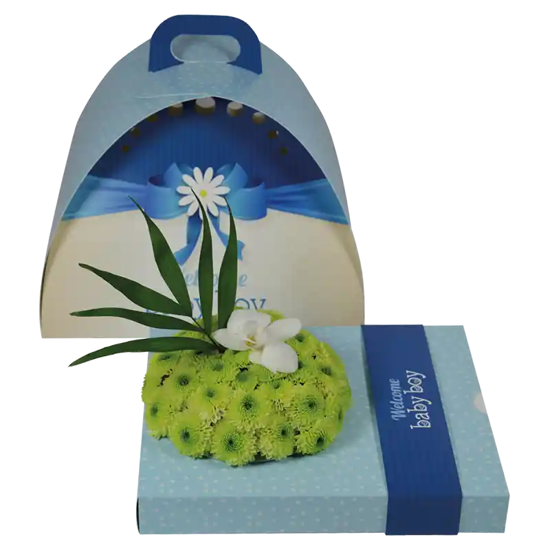 OASIS®Floxi Geschenkverpackung "Welcome baby boy"