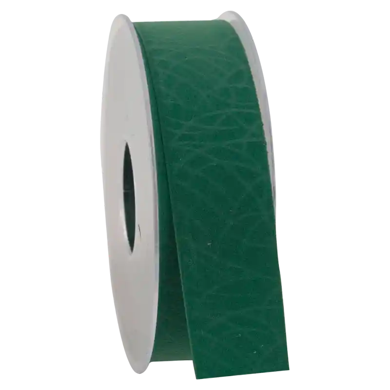 Band Faszination-169550