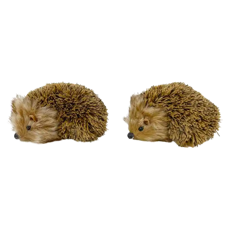 Igel-178153