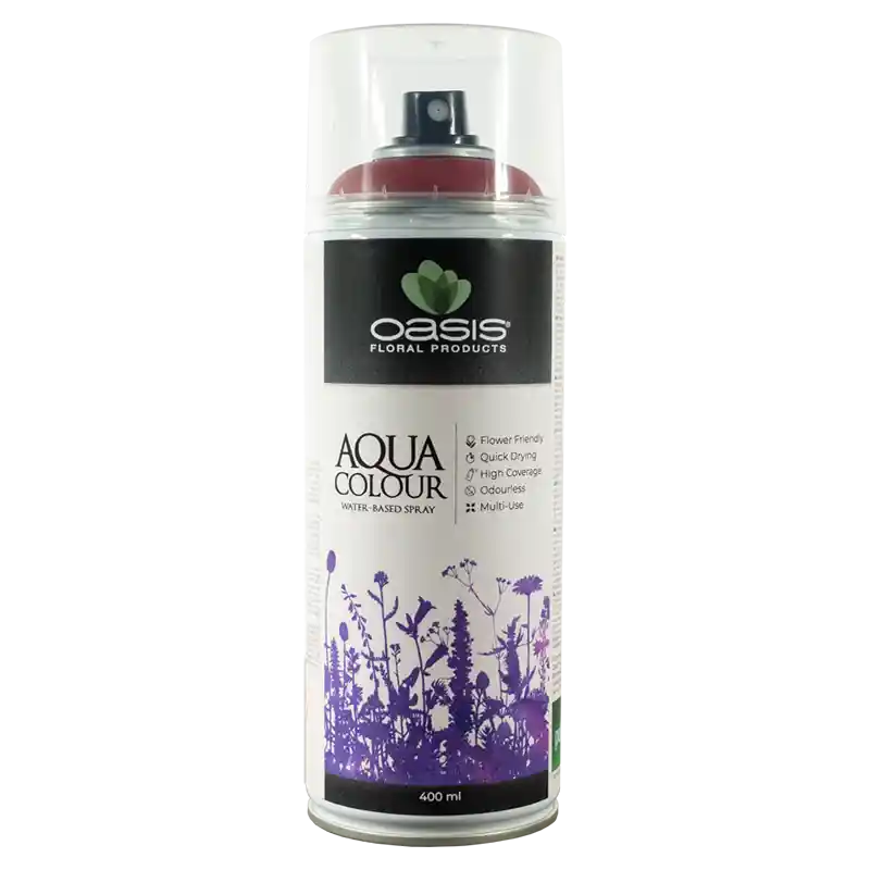 OASIS®Spray Aqua Colour