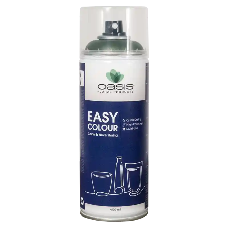 OASIS®Spray Easy Colour