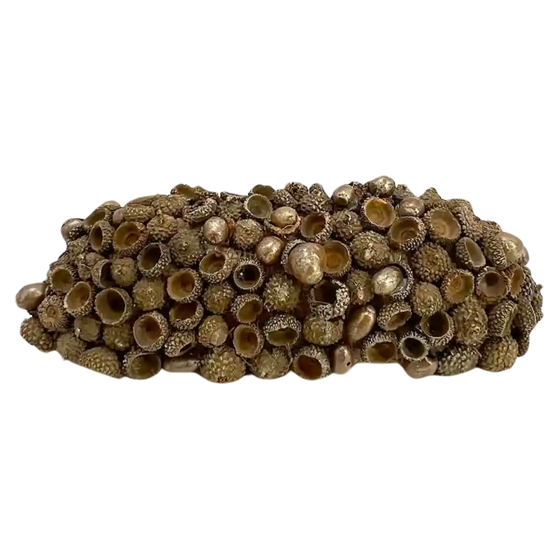 Riegel