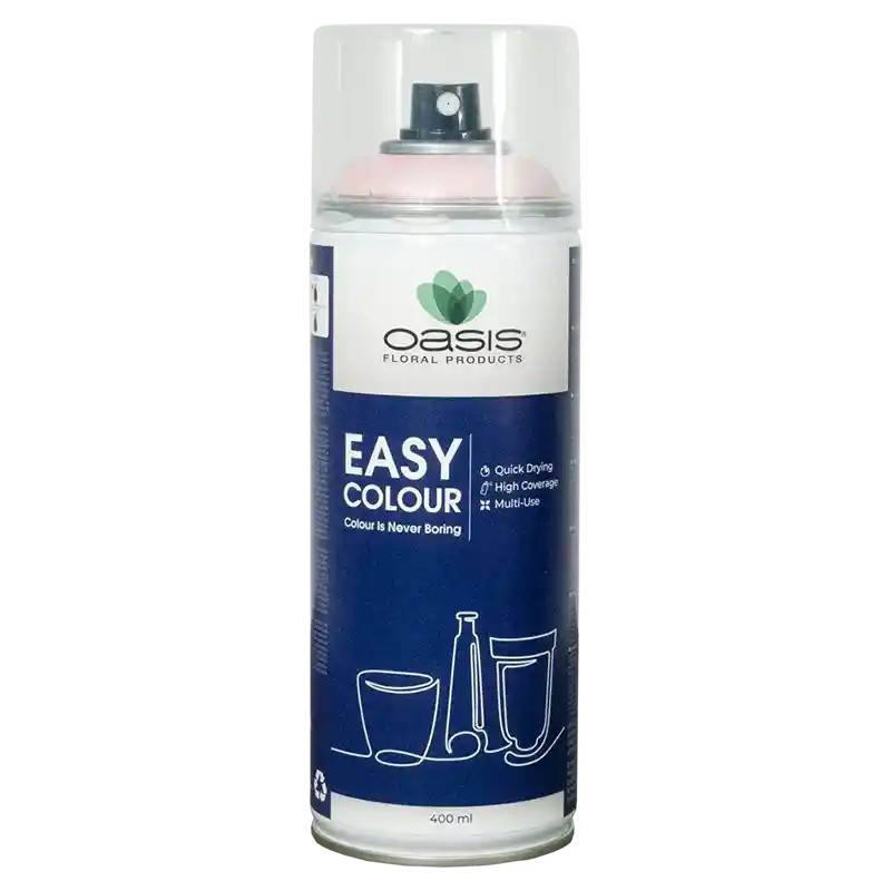 OASIS®Spray Easy Colour