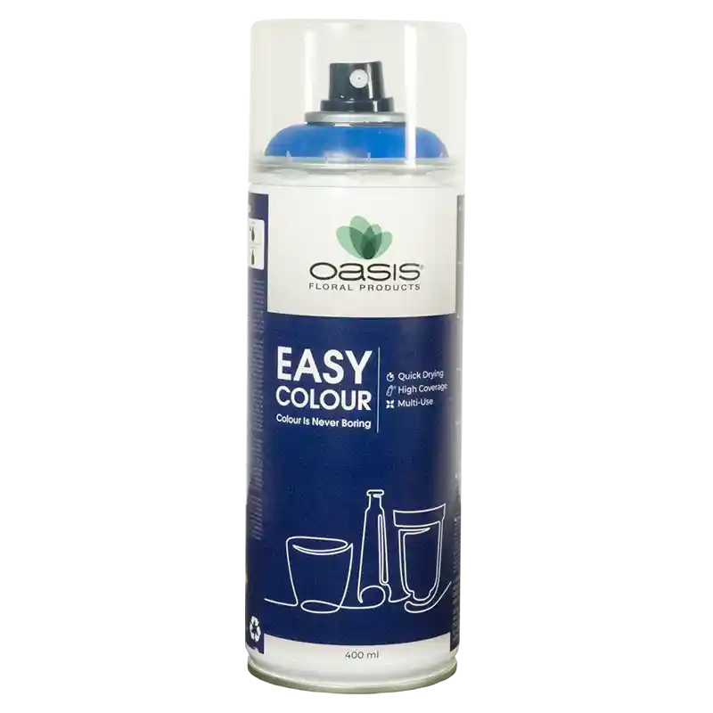 OASIS®Spray Easy Colour