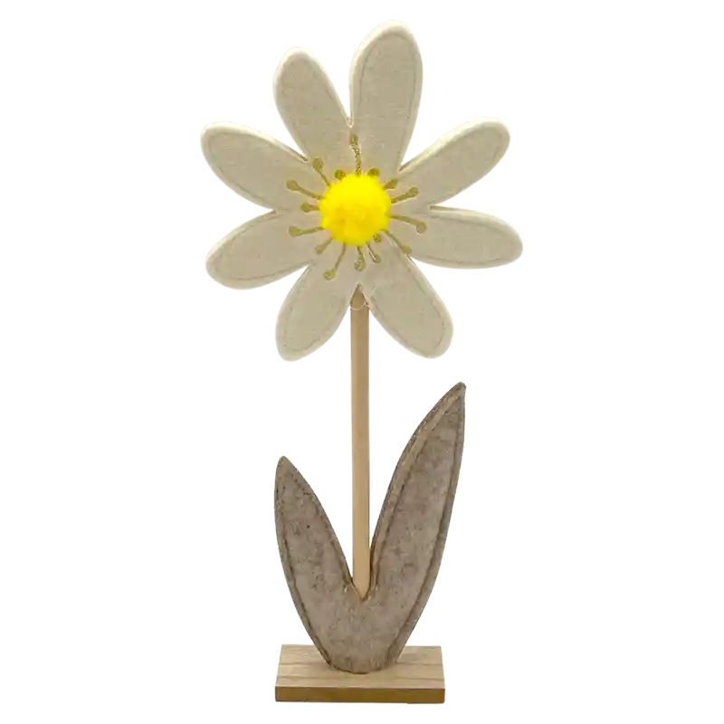Blume-197926