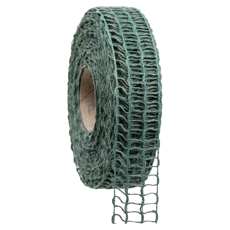 Band Nature Alma-202410