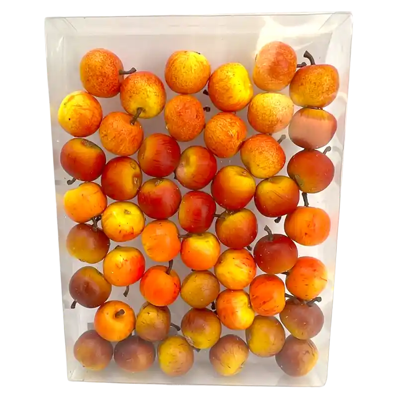 Apfel-204172