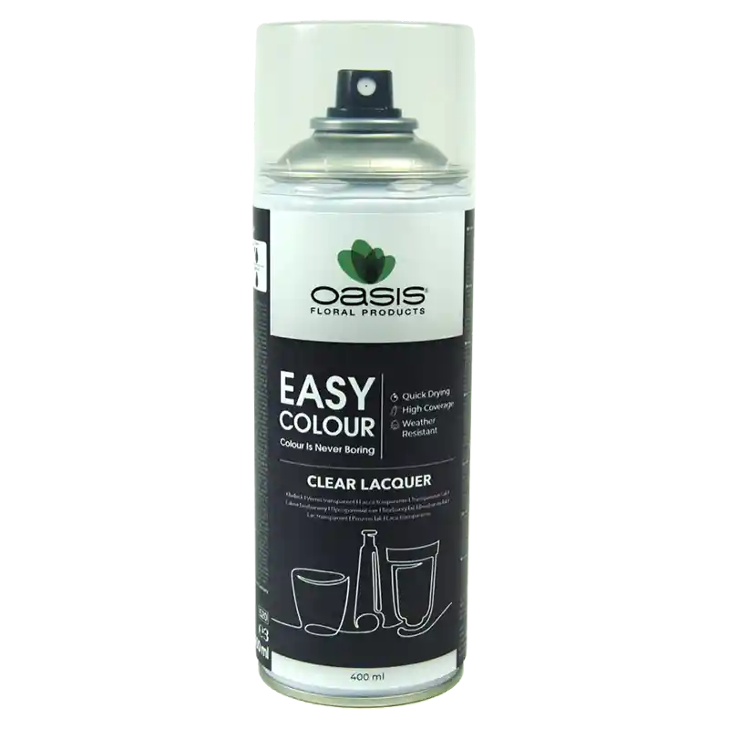 OASIS®Spray Easy Colour