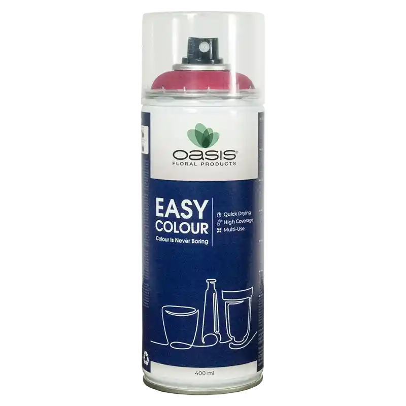 OASIS®Spray Easy Colour