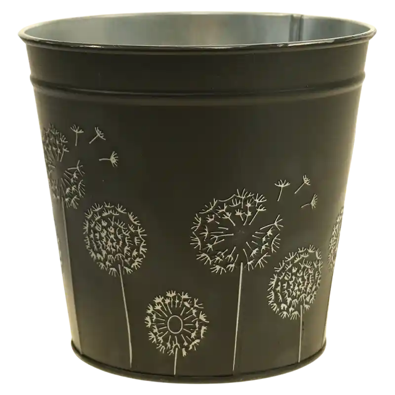 Eimer Pusteblume-213937