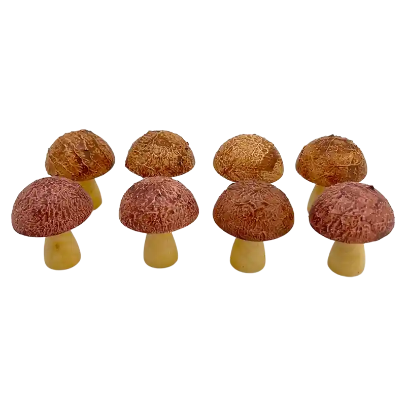 Stecker Pilz