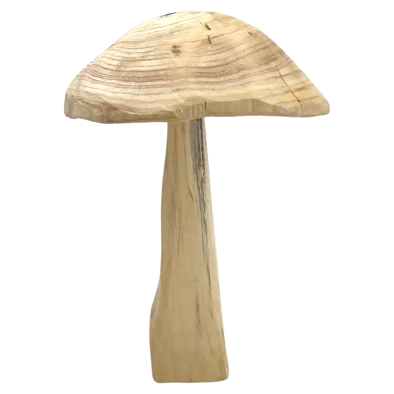 Pilz