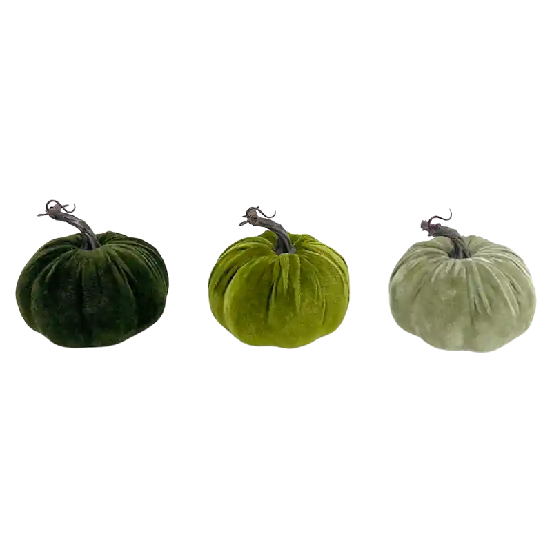Kürbis