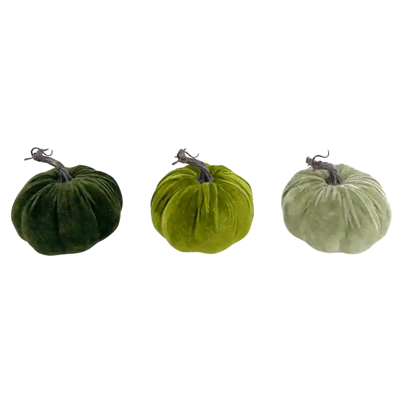 Kürbis