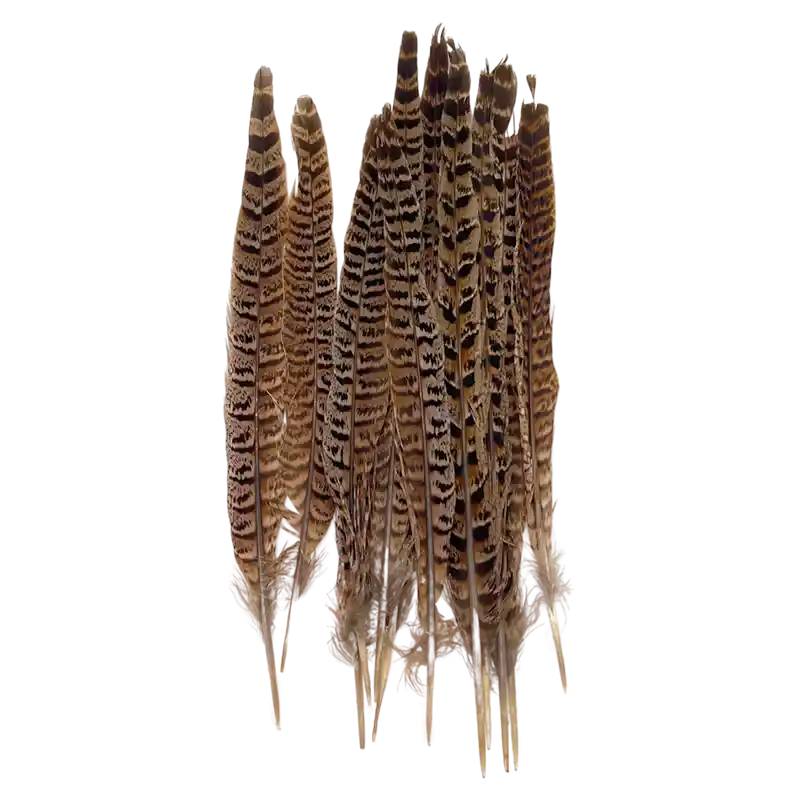 Fasanenfeder-217545