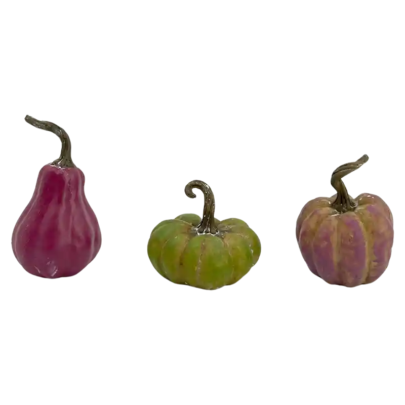 Kürbis
