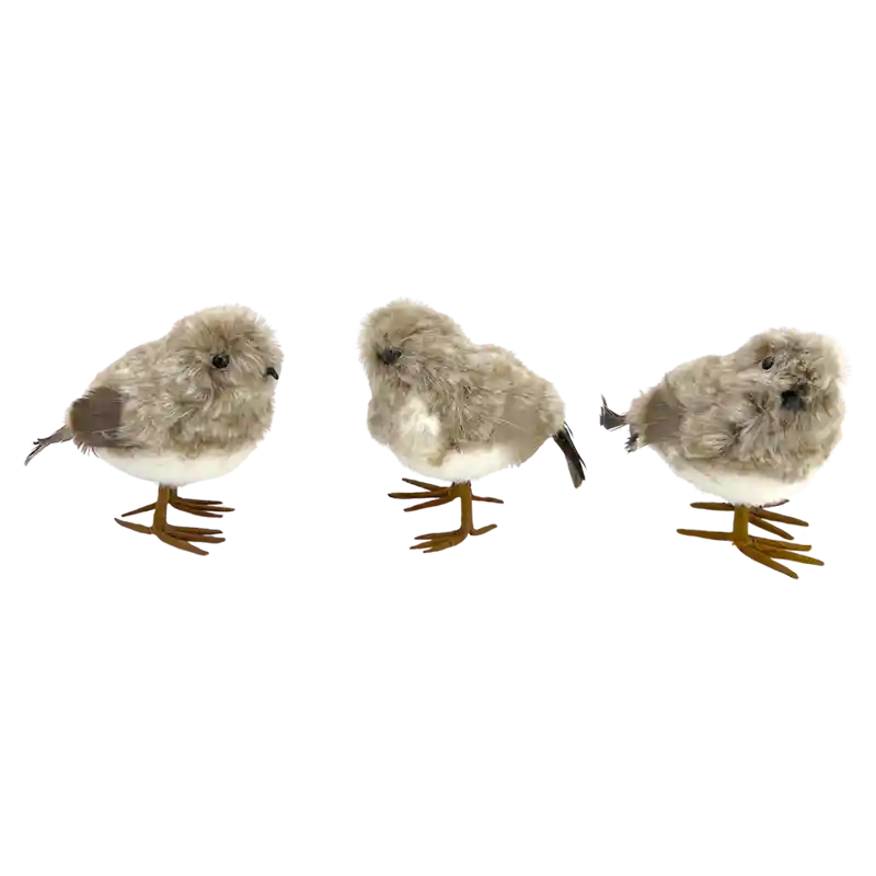 Vogel