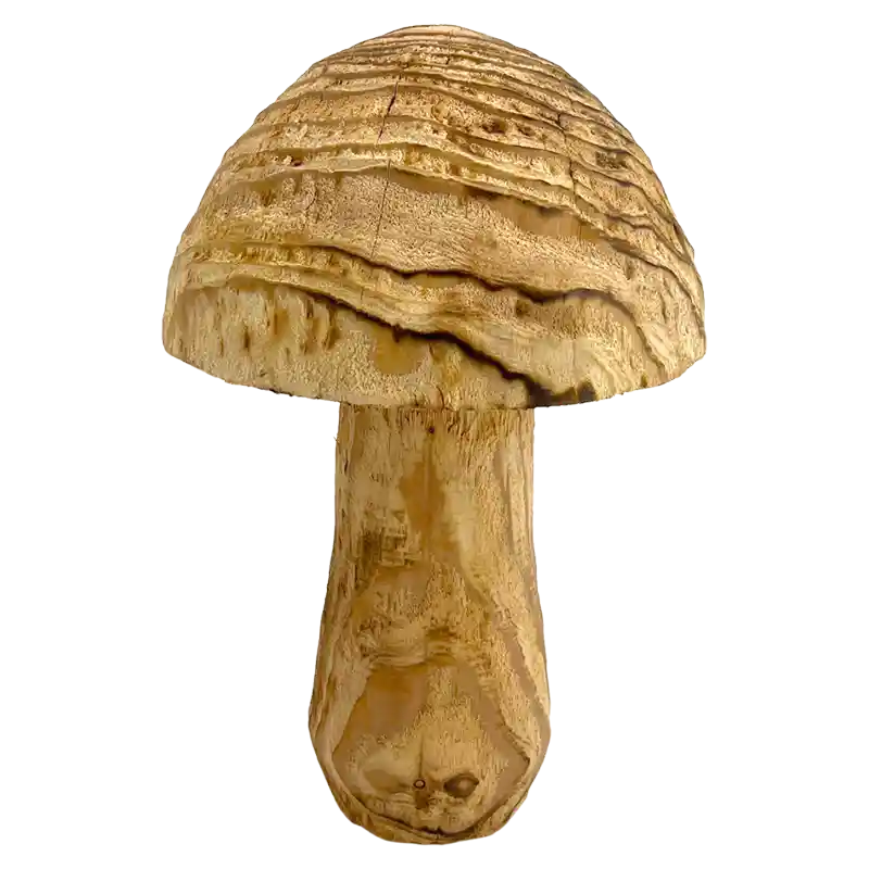 Pilz