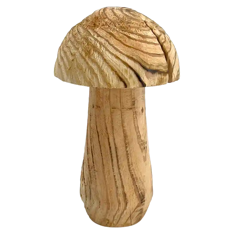 Pilz