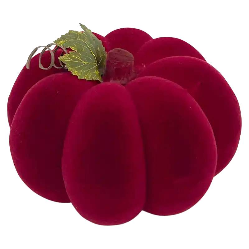 Kürbis