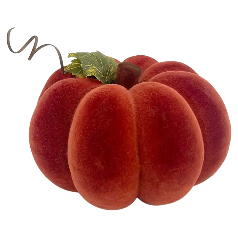 Kürbis