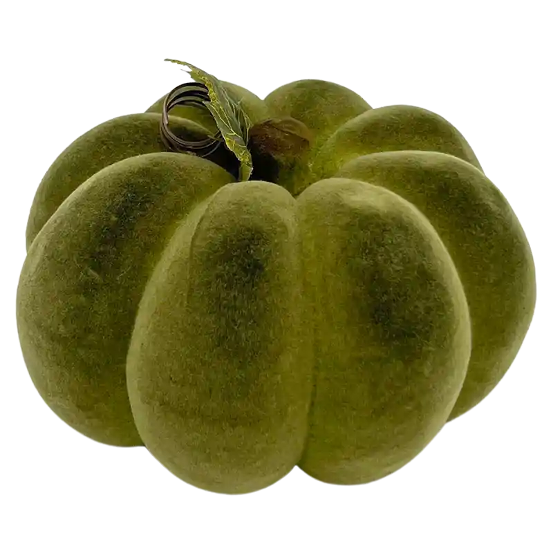 Kürbis