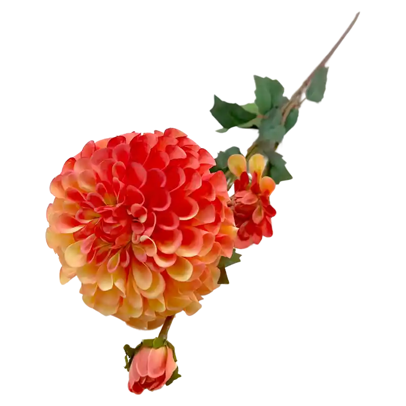 Dahlienzweig
