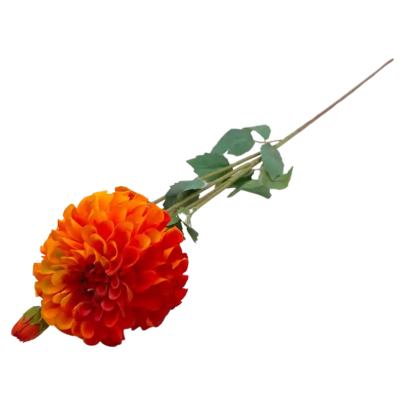 Dahlienzweig
