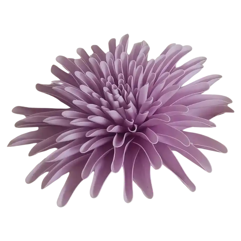 Dahlie-221547