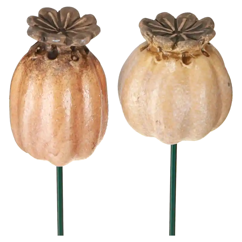 Stecker Mohnkapsel-227869
