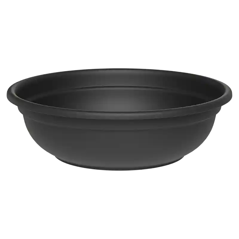 Schale Ebla-229361