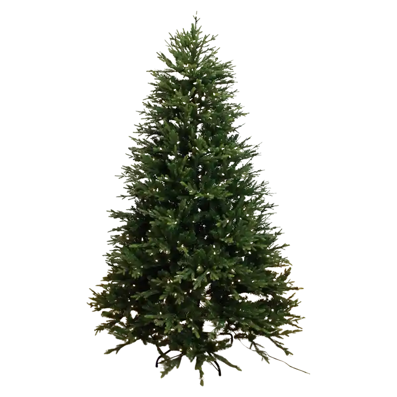 Tannenbaum-229648