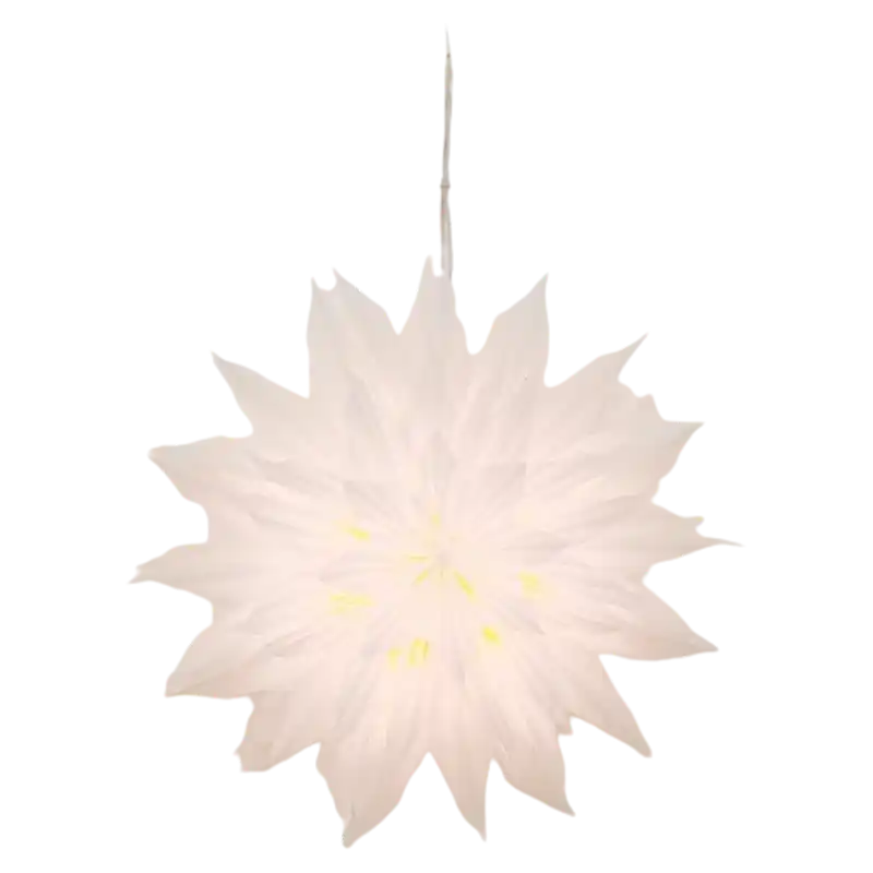 Pergamentlampe Stern-233159