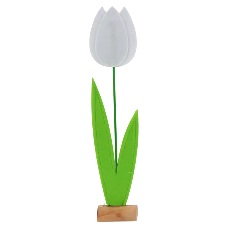 Tulpe Nizza-867503