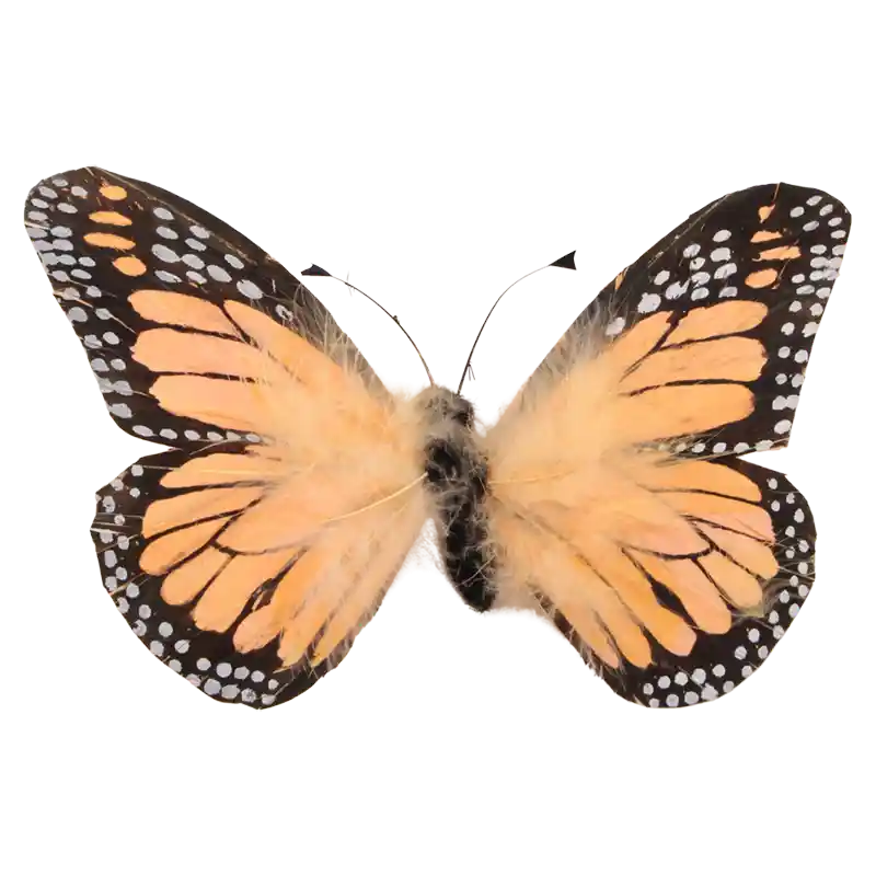 Schmetterling-868184